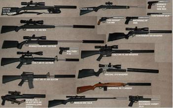 collection photo collection.jpg