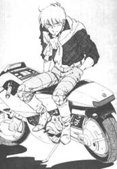 greybike