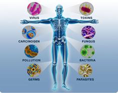 http://www.onlinecoralcalcium.com/files/u1/immunityguy.jpg