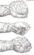 http://artfiles.art.com/images/-/A-Forbes/Detailed-Views-of-a-Roman-Cestus-a-Leather-Glove-Used-in-Ancient-Boxing-Giclee-Print-C12364282.jpeg